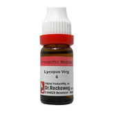 Dr. Reckeweg Lycopus Virg Dilution - Safuron Naturals